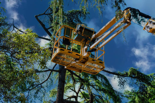  Erwinville, LA Tree Services Pros